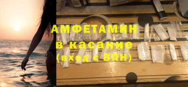 индика Нягань