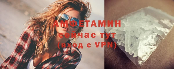 a pvp Новозыбков