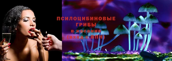 a pvp Новозыбков