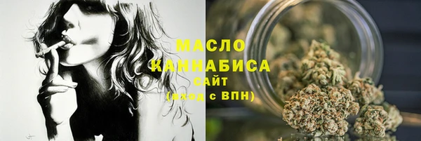 индика Нягань