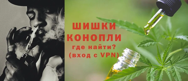 мескалин Новодвинск