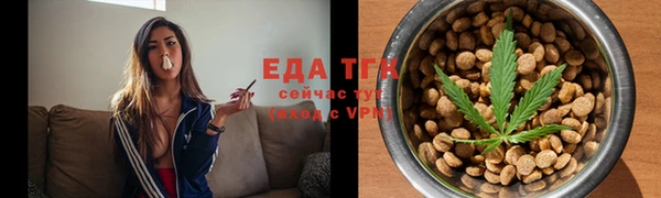 индика Нягань
