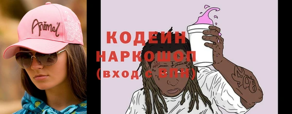 индика Нягань