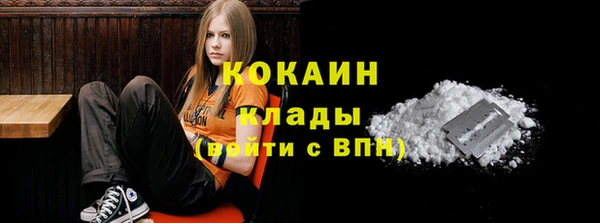 a pvp Новозыбков