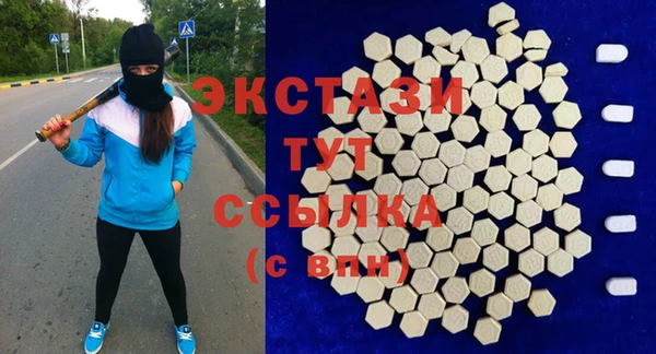 индика Нягань