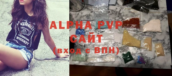 индика Нягань