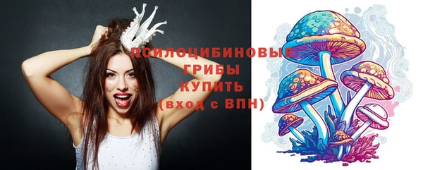 индика Нягань